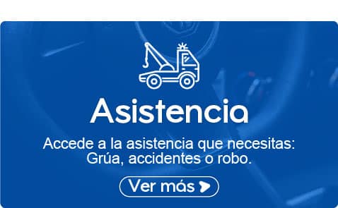 Leasing Operativo